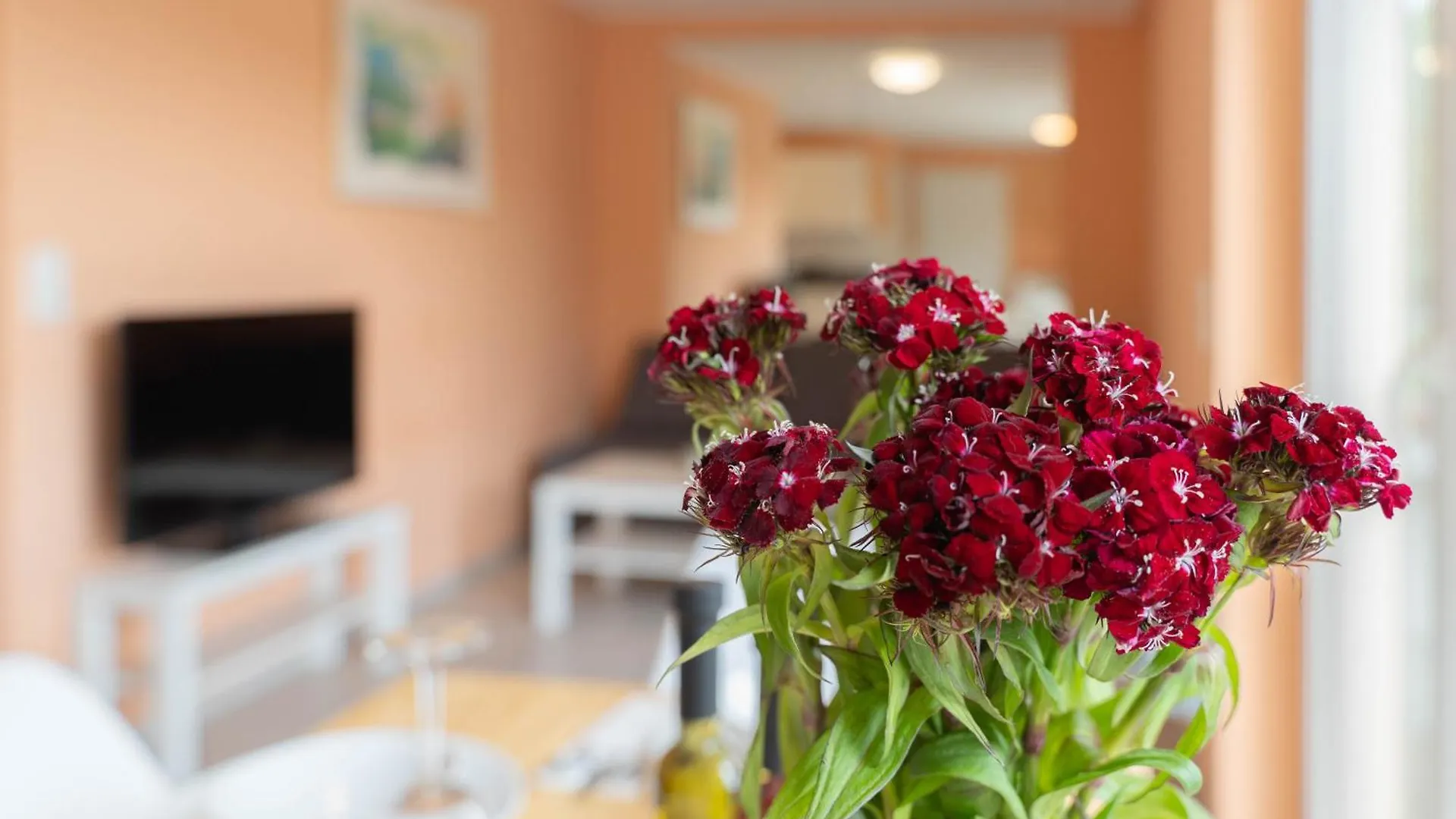 Comfy Apartment Koeln